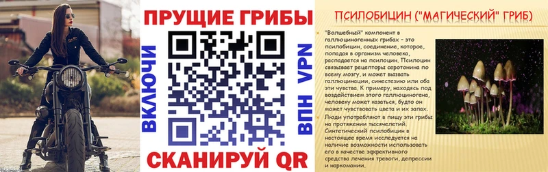 Псилоцибиновые грибы Psilocybine cubensis  купить закладку  Верхний Уфалей 